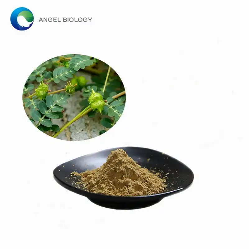 Tribulus Terrestris Extract